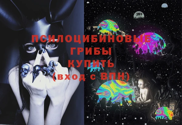 ECSTASY Алзамай