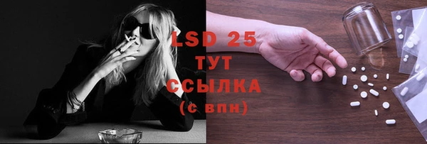 ECSTASY Алзамай