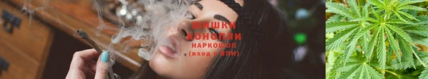 ECSTASY Алзамай