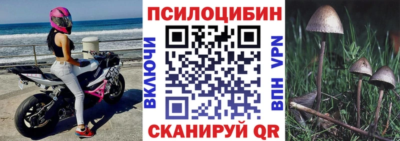 omg вход  Геленджик  Псилоцибиновые грибы Psilocybine cubensis 