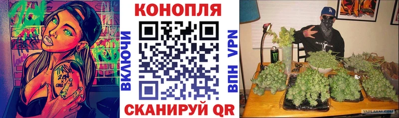 гидра tor  Геленджик  Марихуана гибрид 